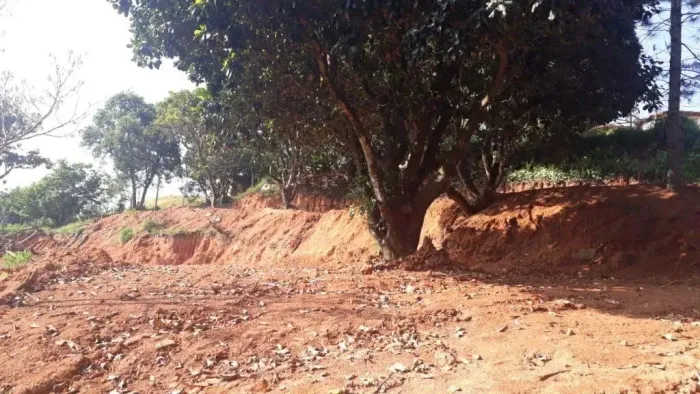 Terreno à venda em Santana de Parnaíba, Jardim Professor Benoá, Não Está Em Condomínio