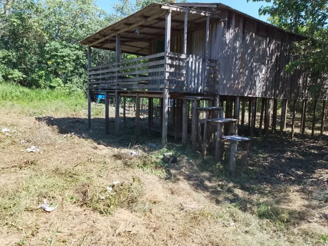 Terreno com 2 casa Comunidade Pinduri (várzea) -Santarém Pará
