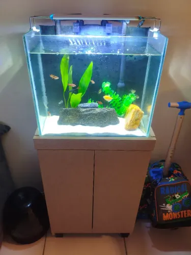 Aquário com móvel + Filtro HBL-802 + Luminária 3 cores