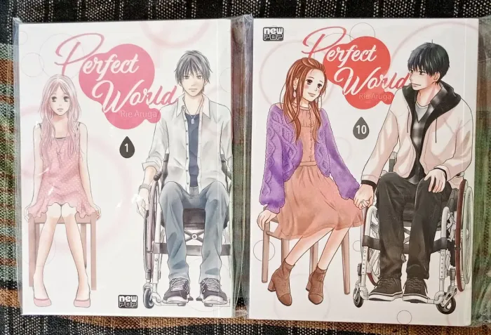 Perfect World 1 ao 10