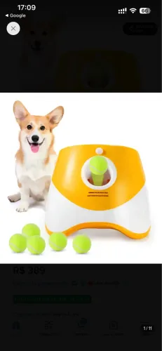 Lançador de bolinhas automático para cães