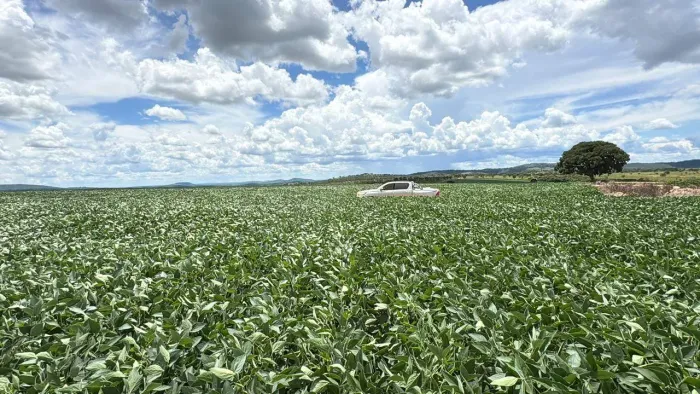 Fazenda plantando soja em Corumbaíba, GO