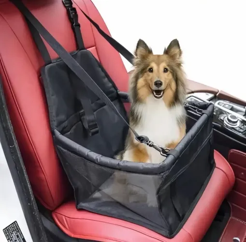 Assento de Segurança de carro para Pet