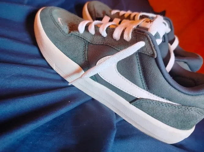 Tênis Nike sb force