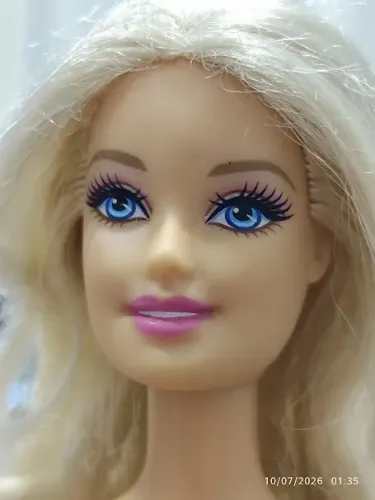 Boneca Barbie (2013) Loose Completa - Impecável + Suporte e Acessórios Extras