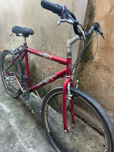 Bicicleta adulto