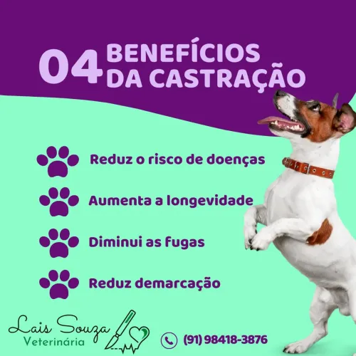 Castração 