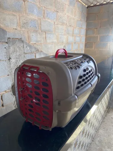 Caixa de Transporte Panther Plast Pet N° 3