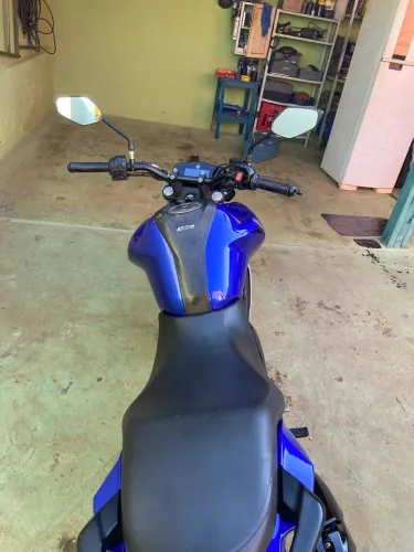 Fz15
