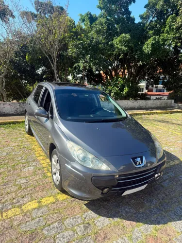 Peugeot 307 Sed. Presence 1.6 Flex 16V 4P 2010