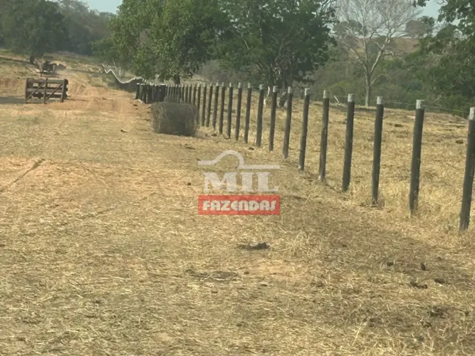 Fazenda 506 Alqueires (2.449,04 Hecatres) Serranópolis - GO