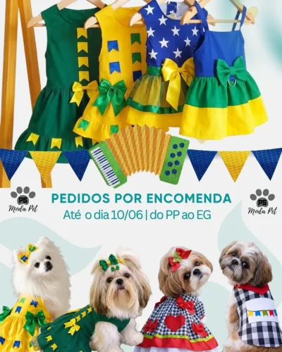 Roupa junina para pet