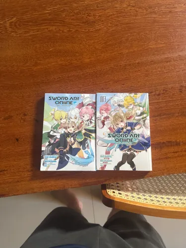 Sword art online girls operation volumes 02 03