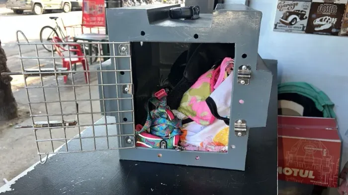 Caixa de transporte Pet