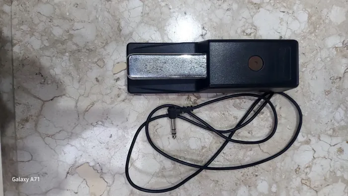 Pedal Sustain Roland DP-10 Original, Semi Novo, com Meio-Pedal