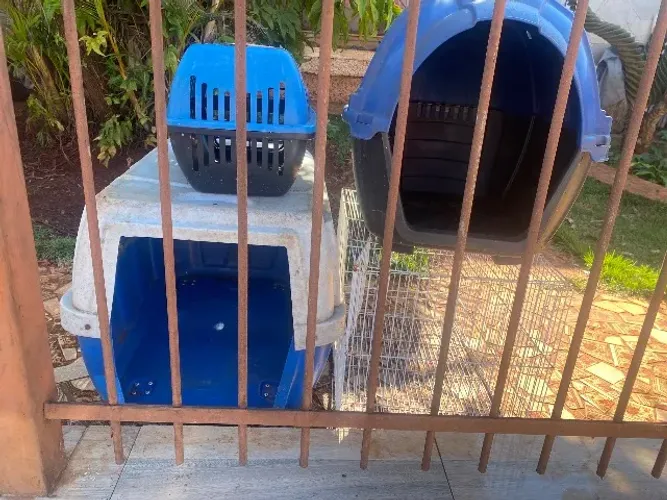 Vendo duas caixas de transporte de animal uma casinha e uma gaiola
