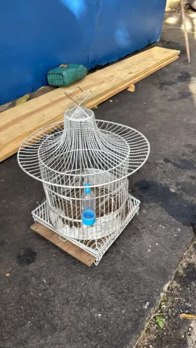 Gaiola perfeita pro seu pássaro no geral parata quero 100 rais