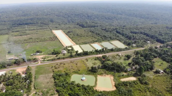 Fazenda / Sítio / Alevinos - Presidente Figueiredo - Amazonas