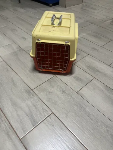 Caixa pra transporte de pet