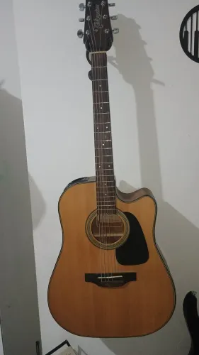 Violão Takamine g10