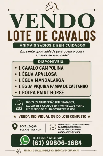 Vendo lote de cavalos