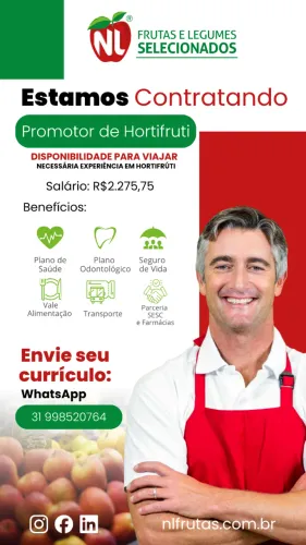 Repositor de Hortifrúti