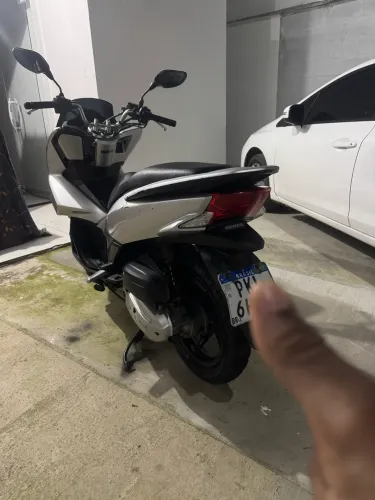 Pcx pra vender logo 