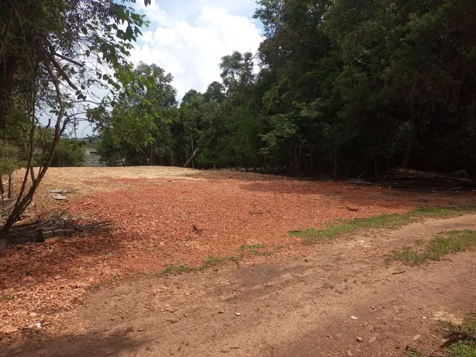 Alugo terreno, pátio em Curitiba para transportadora ou depósito de peças e implementos.