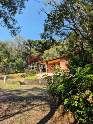 Sítio em Rs 020 - Recosta - São Francisco de Paula/RS