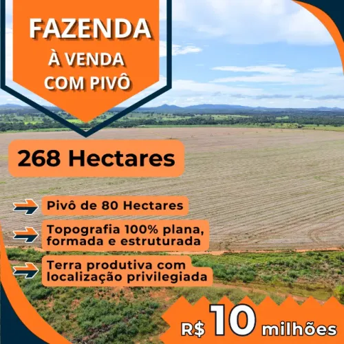 Fazenda com pivô de 80 hectares