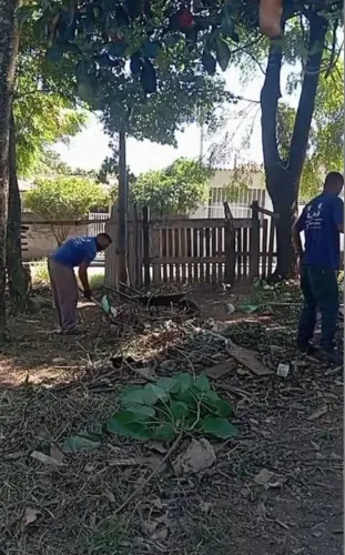 Limpeza de terreno e jardim e entulhos 