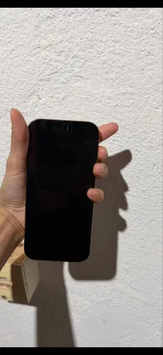 16 pro desert