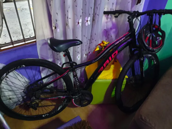 Bicicleta Raio aro 29
