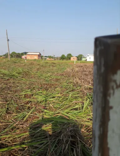 Terreno