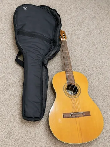 Violão Giannini