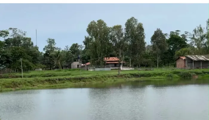 Fazenda à venda em Penalva MA