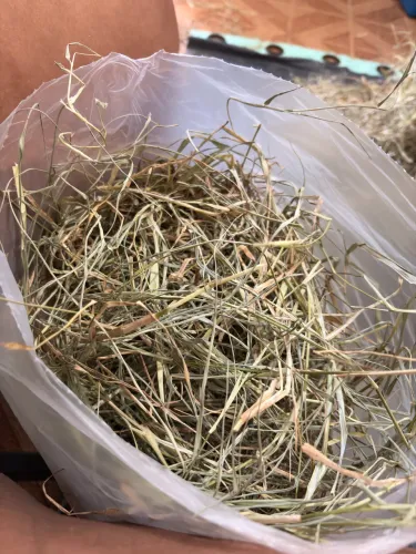 500g- Acessório Pet Roedores com aromas 