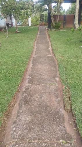 Jardinagem e paisagismo 