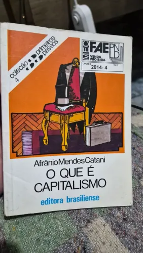 O que é o capitalismo? - Afrânio Mendes Catani (USADO)
