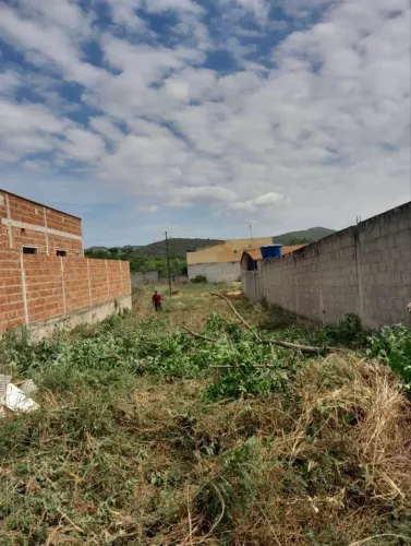 Terreno Em Antônio Gonçalves- Bahia