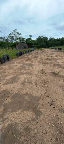 Sitio a 12 km de Mucajaí sentido Br 174