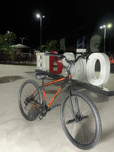 Bicicleta Cripto Aro 29