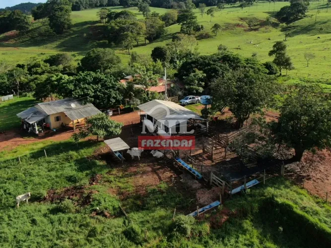 Chácara 1.73 Alqueires ( 8.37 hectares ) - Petrolina de Goiás