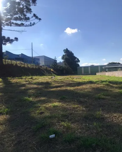 Terreno Industrial