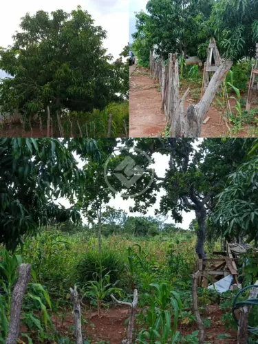 Oportunidade Lote Lagoa Excelente lote disponível para venda! Dimensão: 20x50 Área tot
