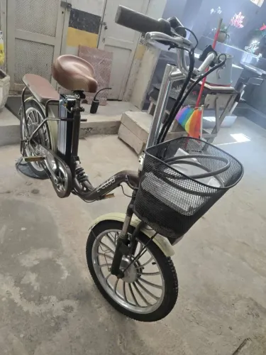 Bicicleta eletrica