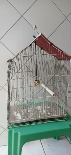 Gaiola barata