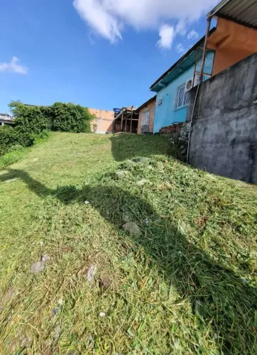NOVO ALEIXO, Terreno