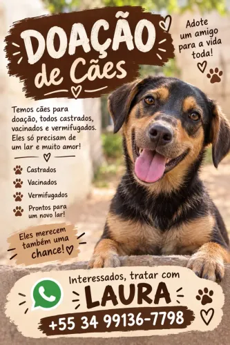 DOA-SE CÃES