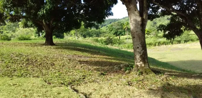 8 alqueires em Saquarema - Casa boa